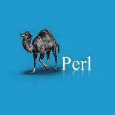 دانلود پاورپوینت زبان برنامه نویسی پرل Perl
