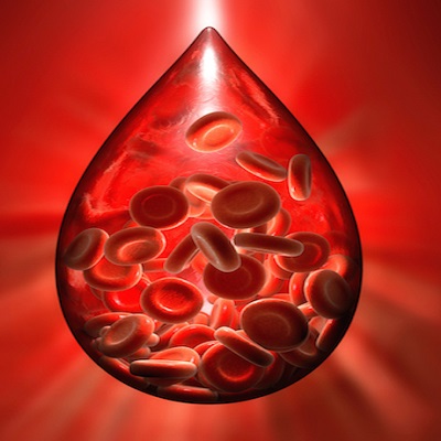 دانلود مقاله بیولوژی زیست شناسی رشدی خونسازی در موجود زنده