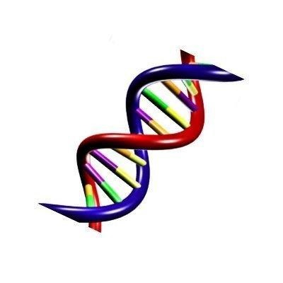 دانلود مقاله کاربرد الگوریتم ژنتیک در مرتب سازی بهینه